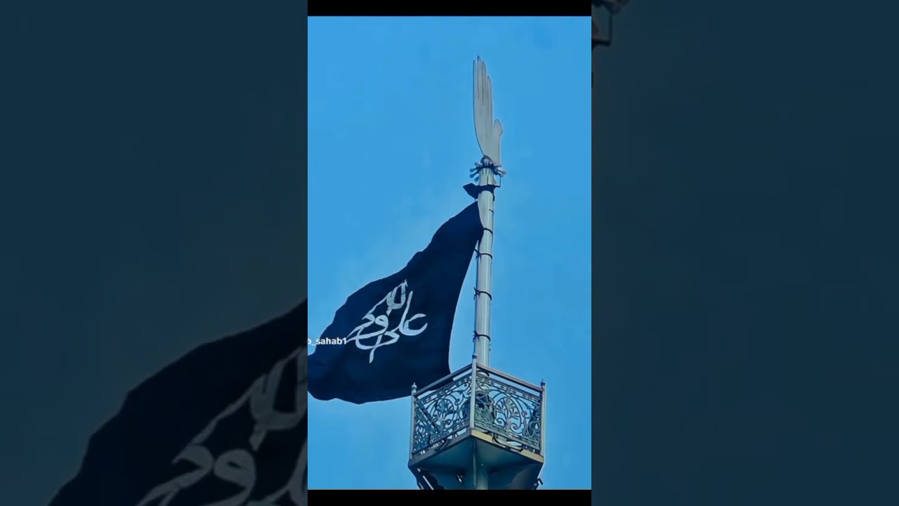 Alina: Manager Profile