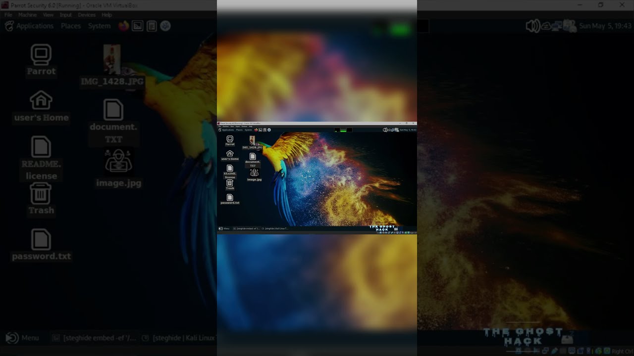 Kalilinux: Hide Data in Images with Steghide 🖼️