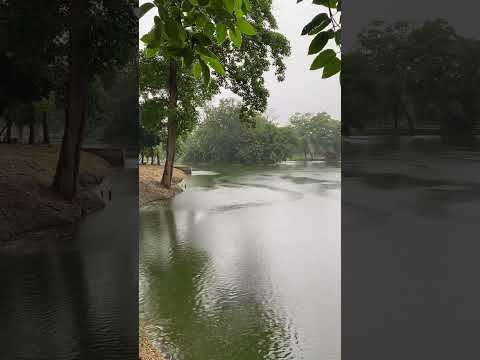 এমন দিনে তারে বলা যায়