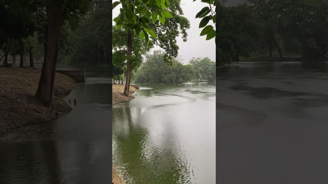 বর্ষার দিনে প্রেমের কথা বলার সুযোগ 🌧️