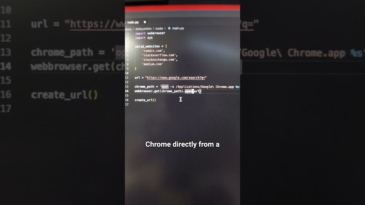 Create Custom Python Automation with My Expert Guidance 🤖