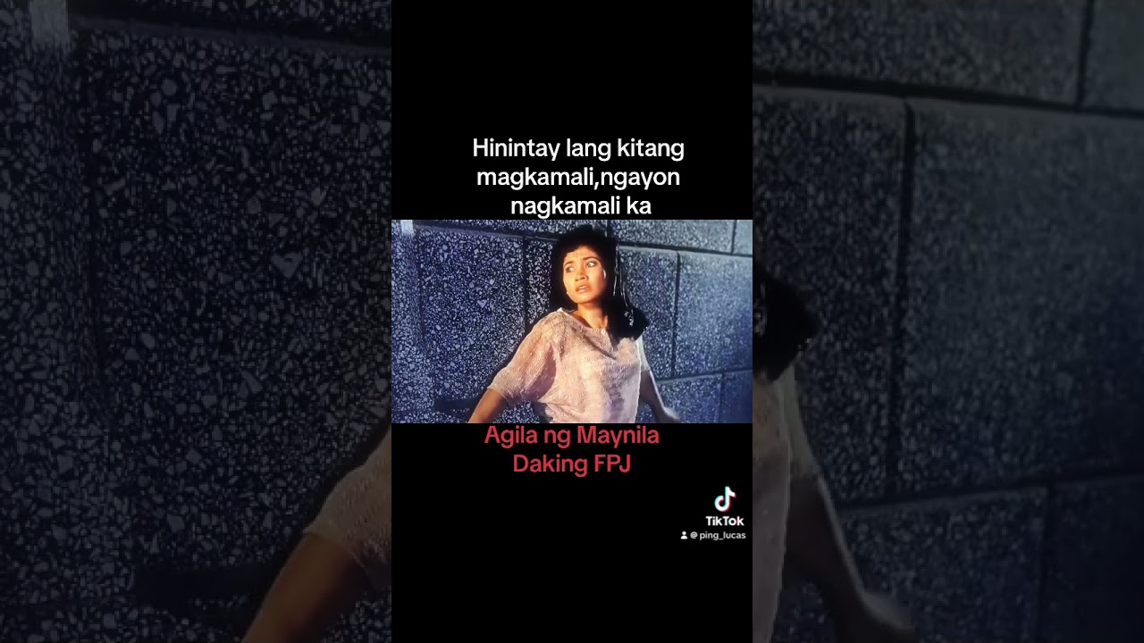 Fernando Poe Jr. Action Line Movie | Agila ng Maynila | Short Clip