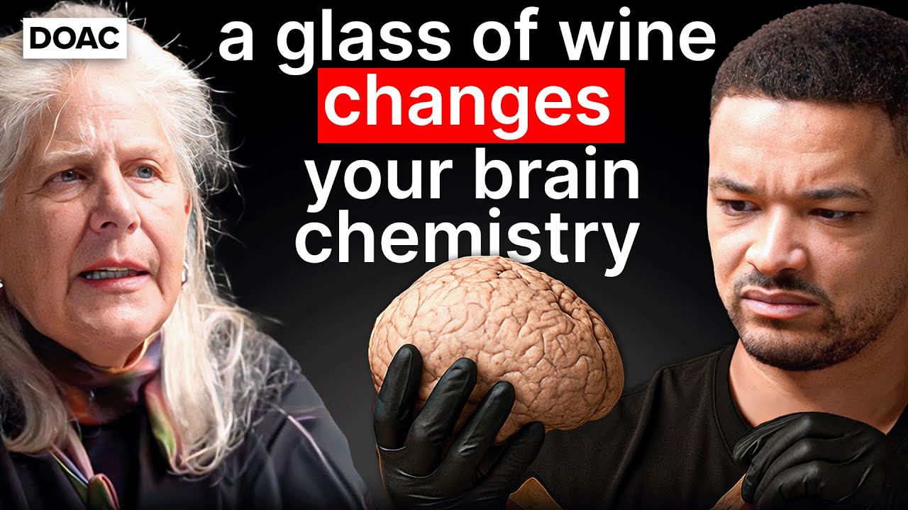 Harvard Brain Expert Reveals How Your Brain Is Deceiving You & How to Reclaim Control 🧠