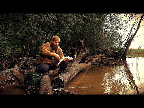Рыбалка с Ночёвкой! Попал на Раздачу! Кто-то В Лесу! Жареная Рыбка!