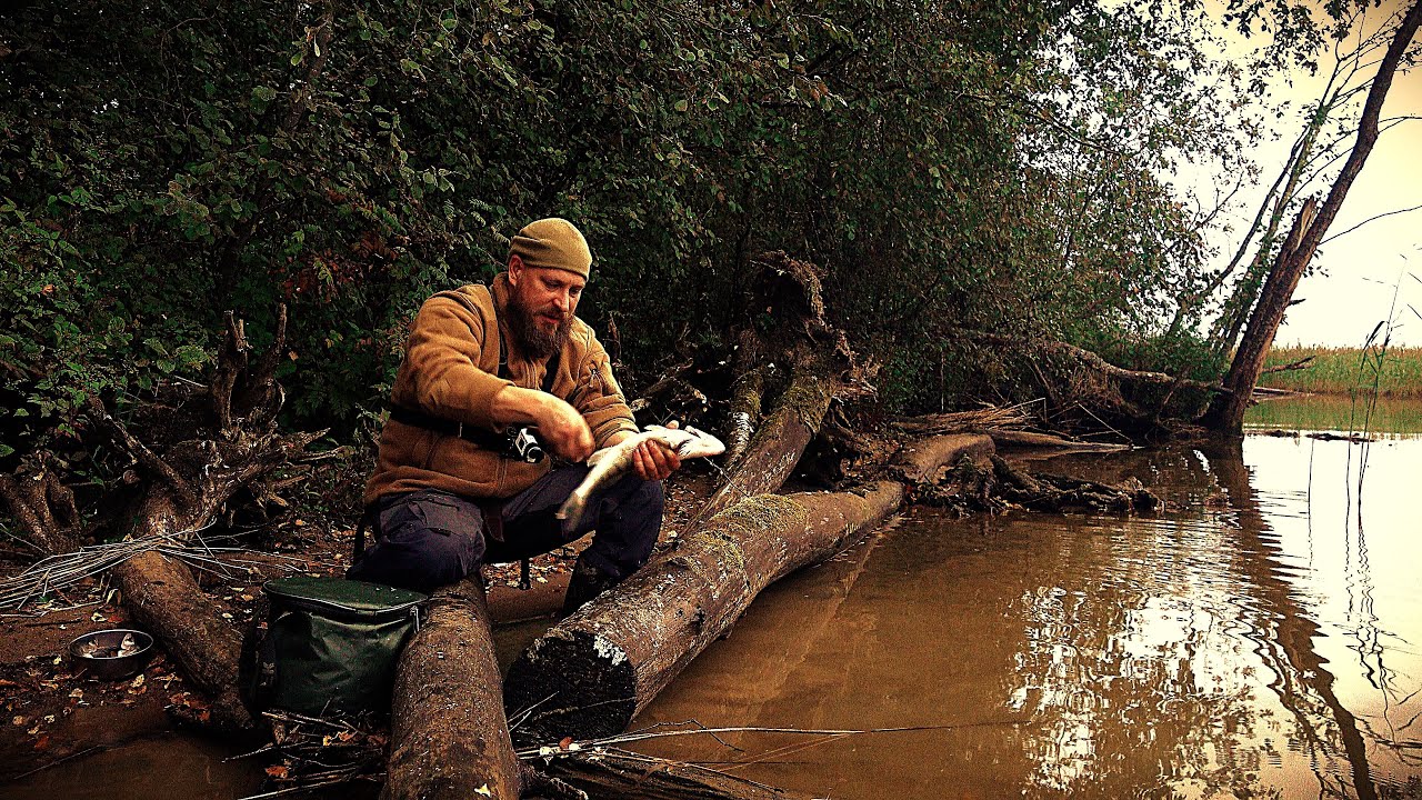 Ночная рыбалка и жареная рыба на природе 🎣