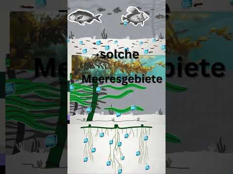 noch 18 Tage bis zur BTW25