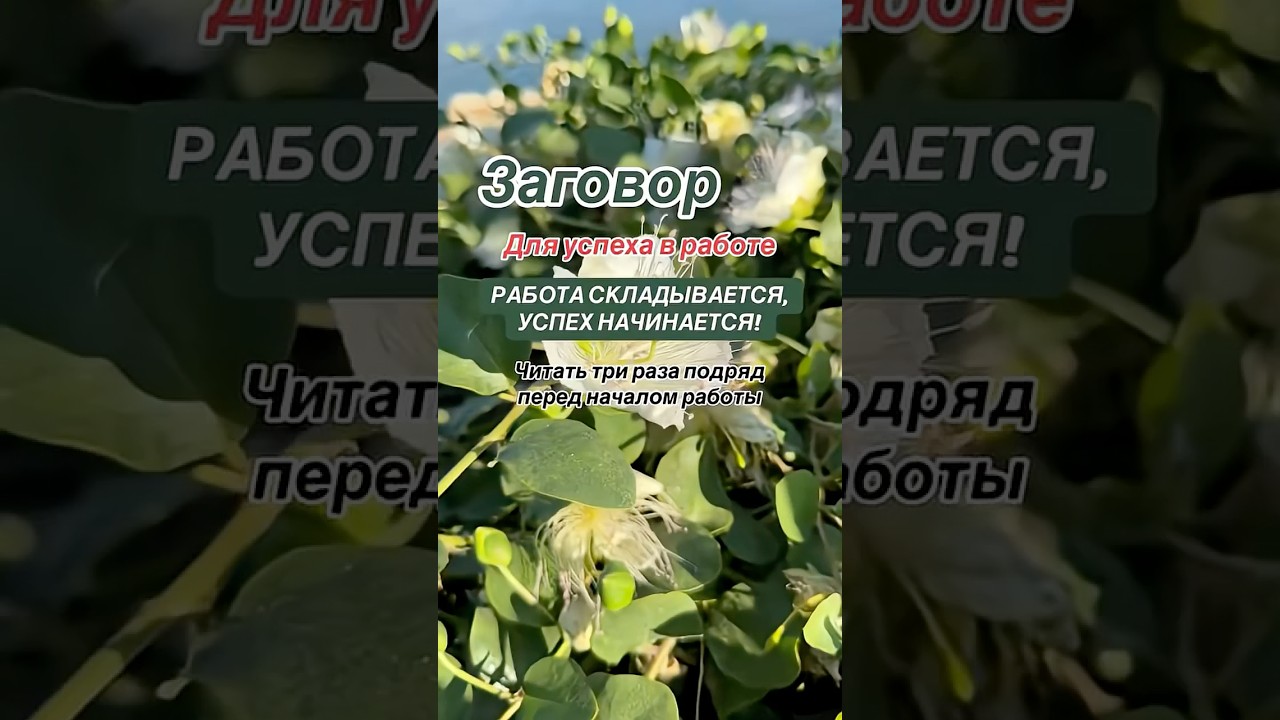 Заговор для успеха в работе 🌿