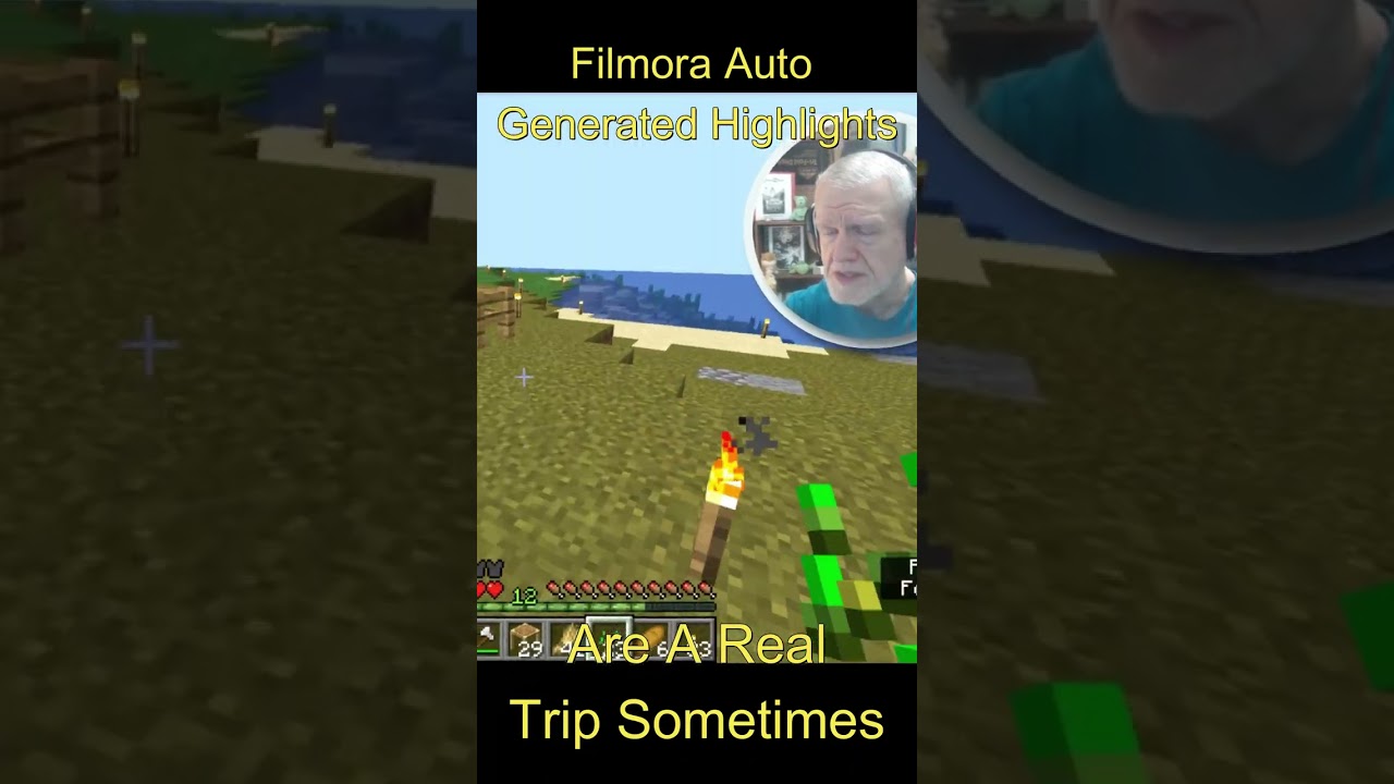 Minecraft Highlights: A Fever Dream Trip 🎮