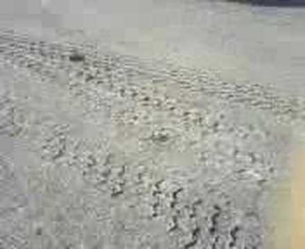 freddes hollbarhetstest på K780i med ett koben