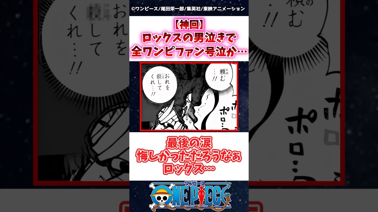 【ワンピース】1164話の感動的な神回！ロックスの男たちの涙に全ファンが号泣😭