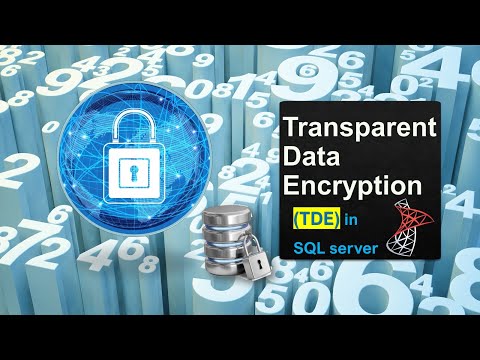 Transparent Data Encryption in SQL Server | TDE in SQL Server | Encryption in SQL | Ms SQL