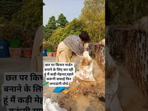छत पर किचन गार्डन बनाने के लिए कर रही हूं मैं कड़ी मेहनत,पहले करूंगी सफाई फिर लगाऊंगी पौधे #shorts