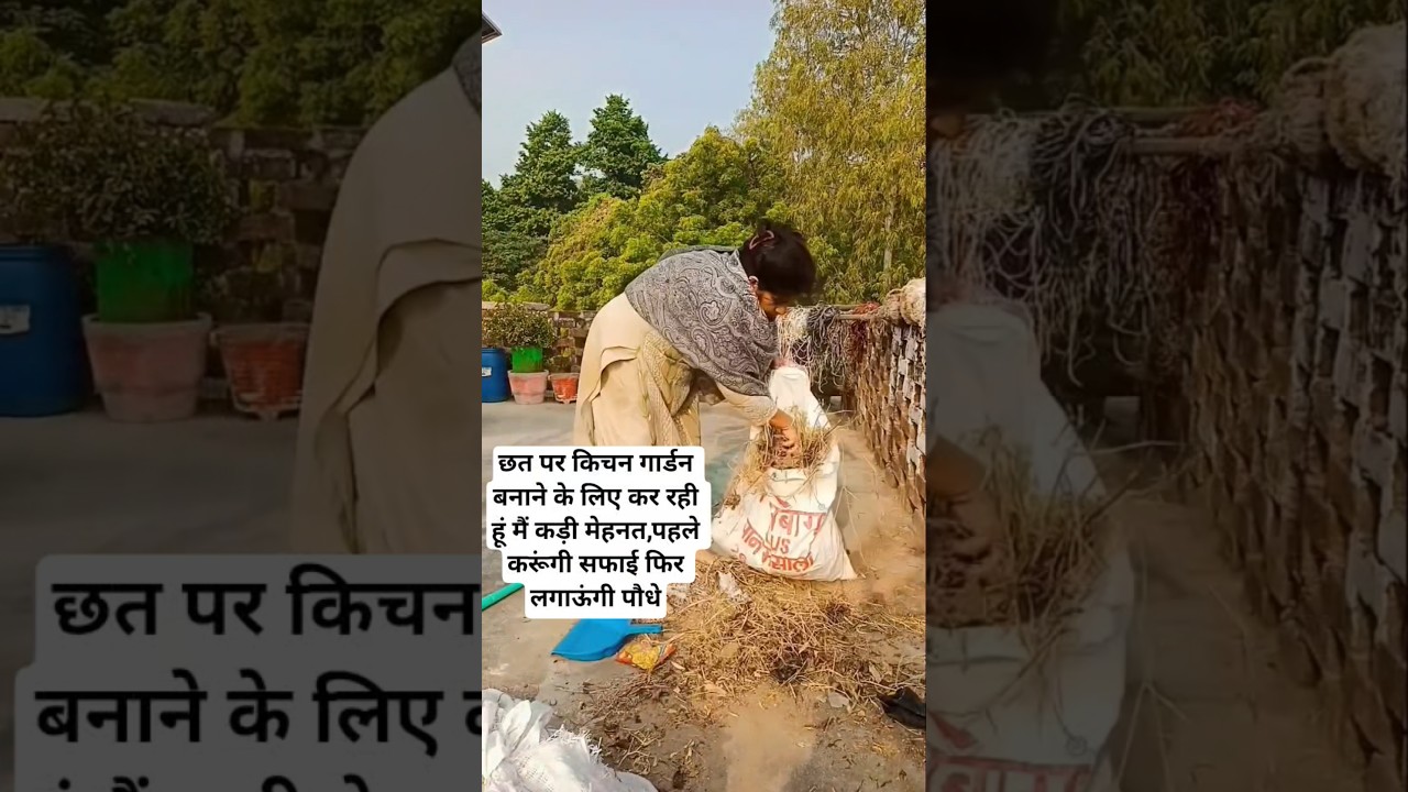 छत पर खूबसूरत किचन गार्डन बनाने का आसान तरीका 🌱