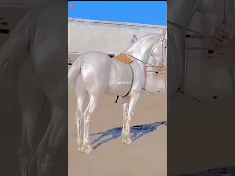 Most Expensive Horse In The World🔥|| #shorts #ytshorts #viral @worldkfactz