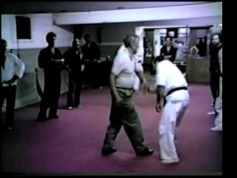 Jimmy H Woo Kung Fu San Soo Lesson 5