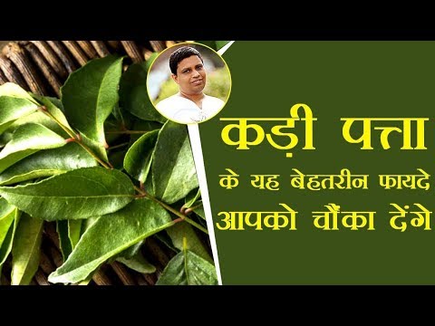 कड़ी पत्ता के यह बेहतरीन फायदे, आपको चौंका देंगे | Acharya Balkrishna