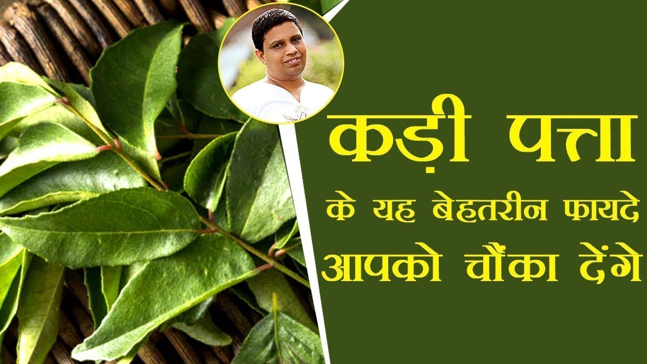कड़ी पत्ता के अद्भुत फायदे, जो आपके स्वास्थ्य को बदल देंगे 🌿 | Acharya Balkrishna