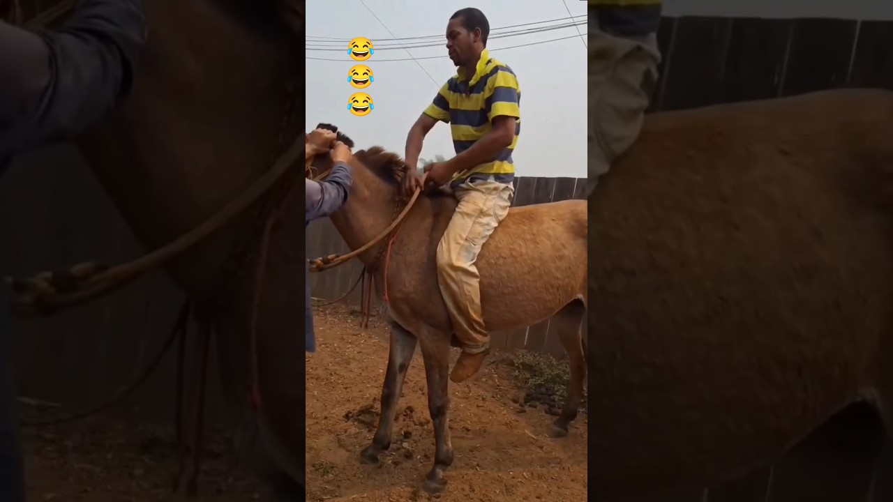 Hilarious Fails Compilation 😂 | Must-See Funny Moments #Shorts