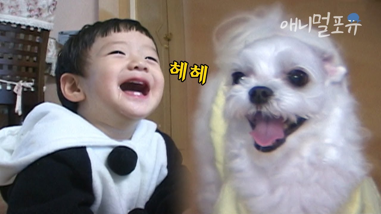 상현이와 말티즈 형아의 귀여운 하루 🐶