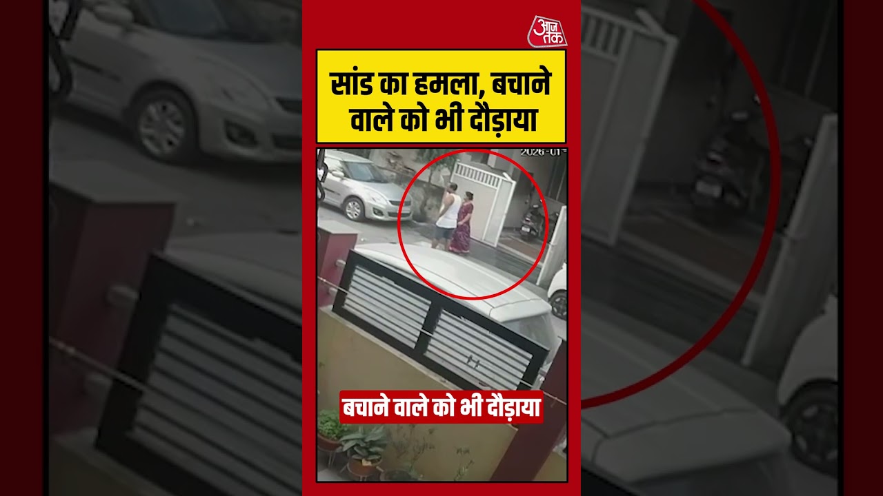 सांड का हमला, बचाने वाले को भी दौड़ाया 🚨