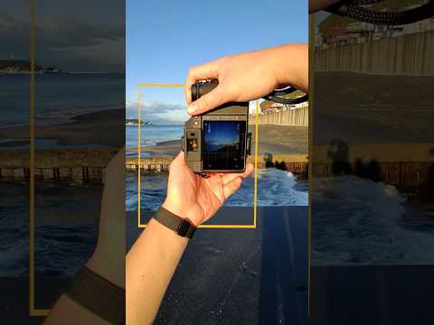 100MP Power: See the Magic of Cropping with Hasselblad X2D