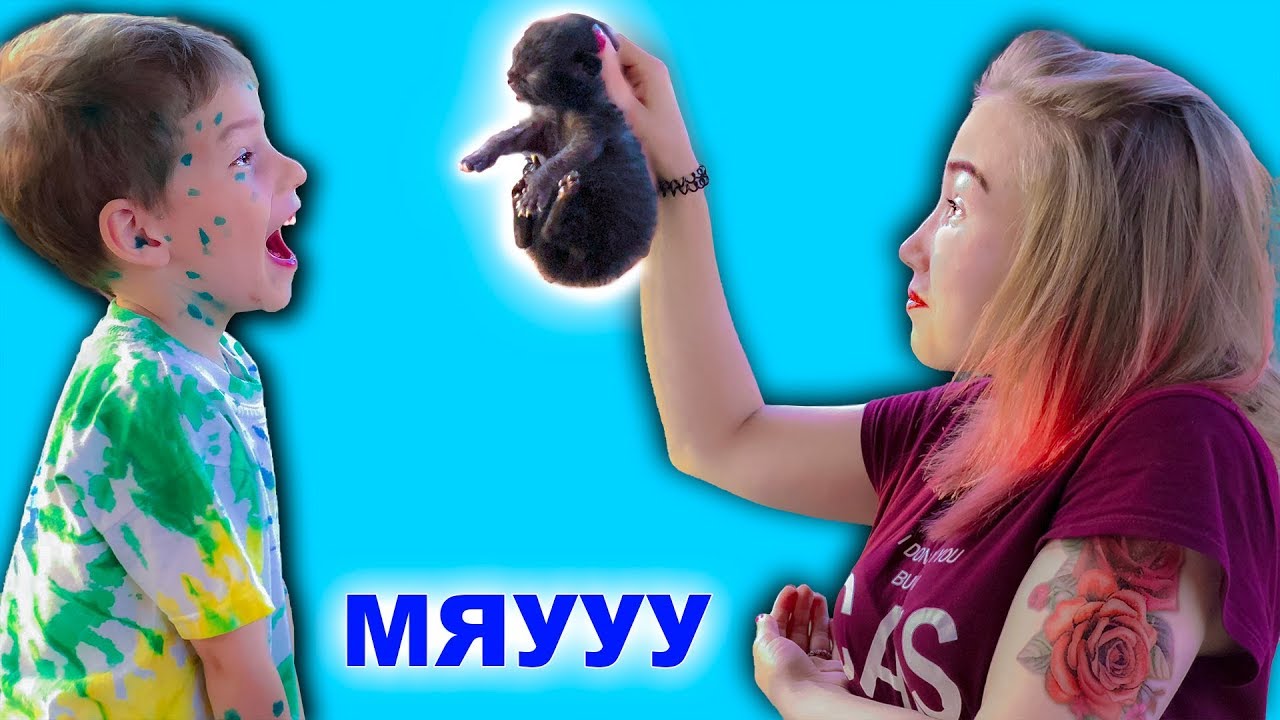 Света и Богдан спасают маленького котенка 🐱