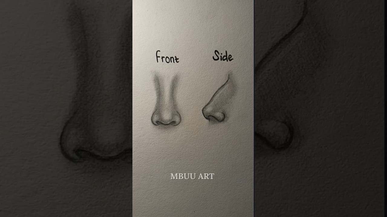 Nose Drawing Tutorial βοΈ