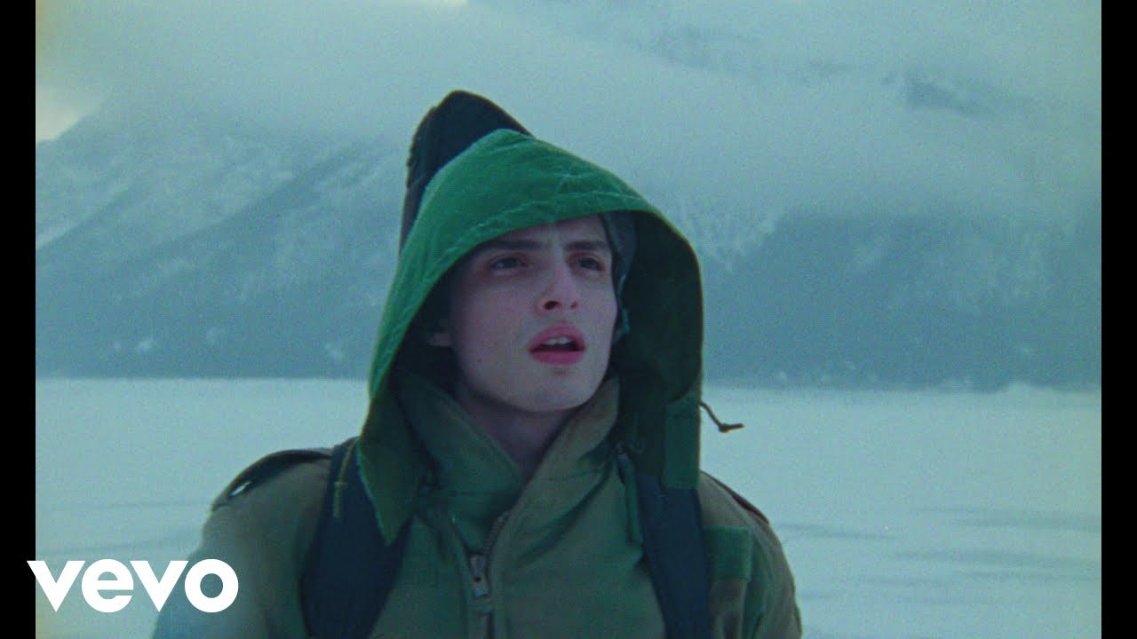 Finn Wolfhard's New Hit 'Objection!' 🎶 | Official Music Video