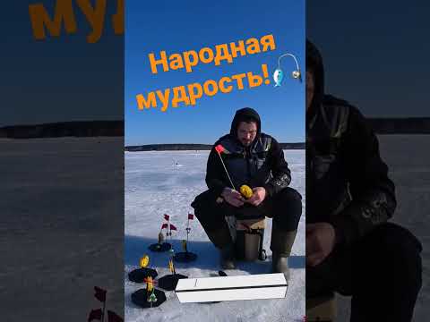 Рыбалка на жерлицы #shorts #рыбалка #fishing #fishing #жерлицы #щука #зима #зимняяловлярыбы #я #рыба