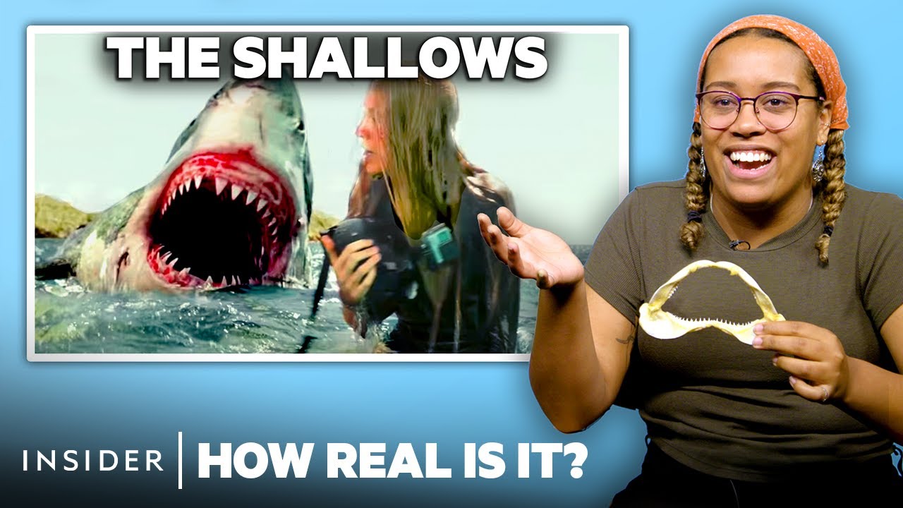 Shark Attack Scenes in Movies: Real or Fake? 🦈