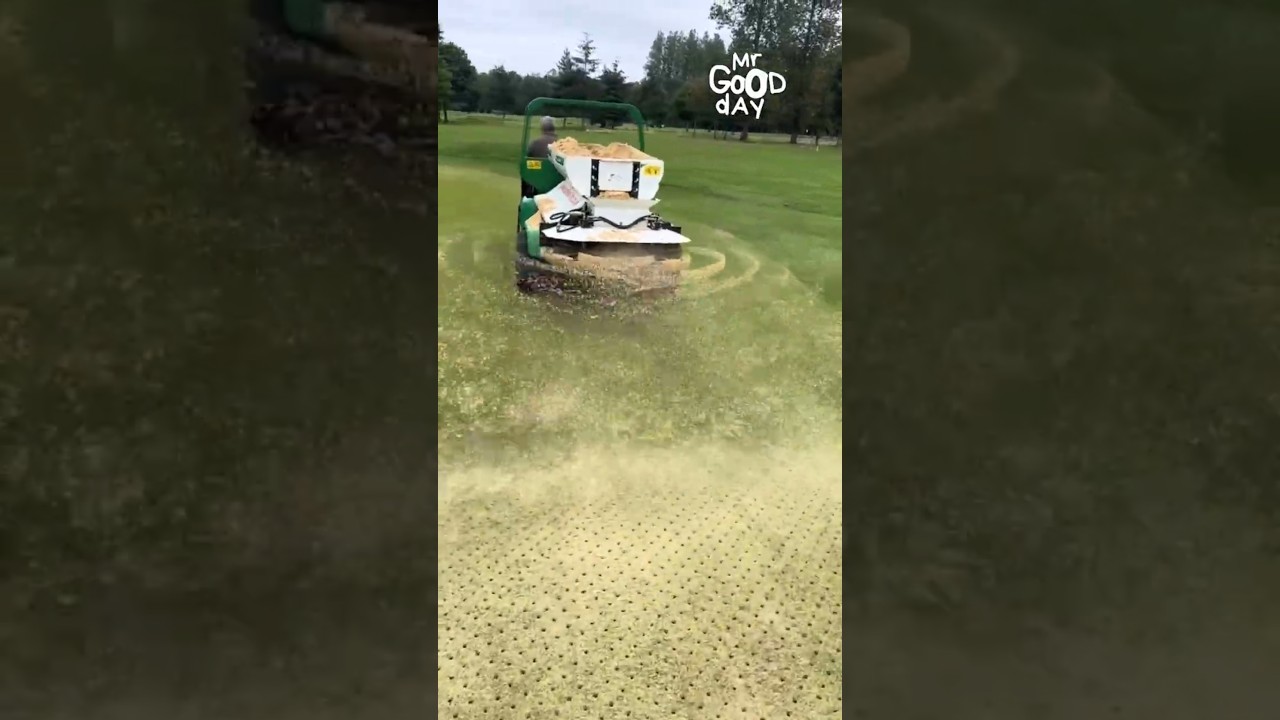 Secret to Lush, Healthy Grass 🌱 | Simple Maintenance Tip