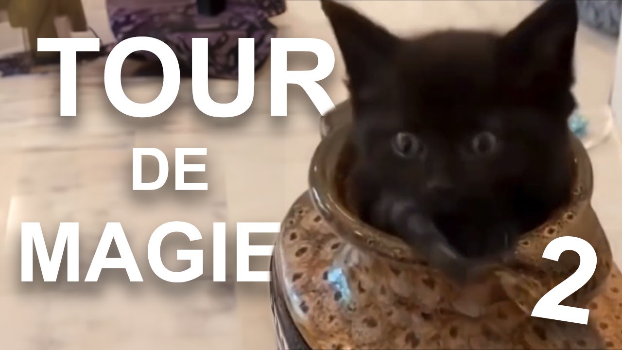 TOUR DE MAGIE 2
