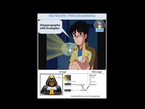 Steganography with Examples.