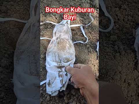 #michaelfizi bongkar mainan b@yi