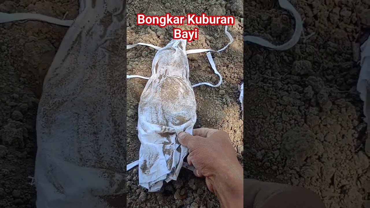 Michael Fizi Unboxes Exciting Toys! ๐