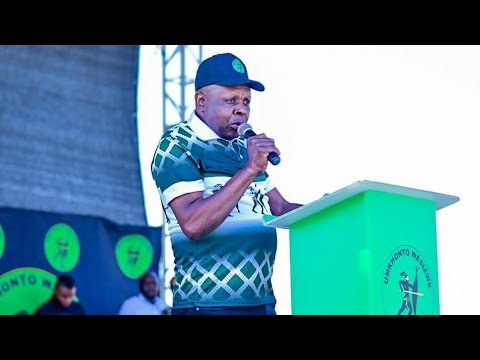 MK Party John Hlophe, "Loadshedding began when Jacob Zuma was removed from office."