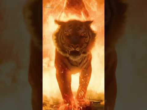 Kantara Chapter 1 Spanish Trailer out now | Rishab Shetty, Rukmini | Hombale Films #shorts