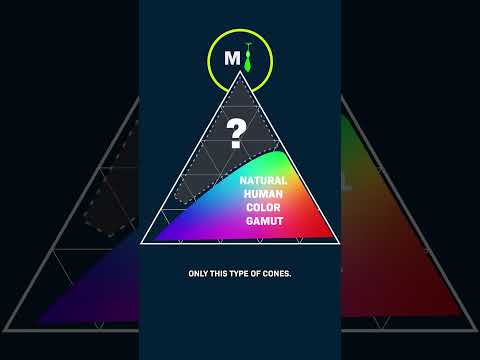 5 Five People Experience a Previously Unseen Color: How Is This Possible?