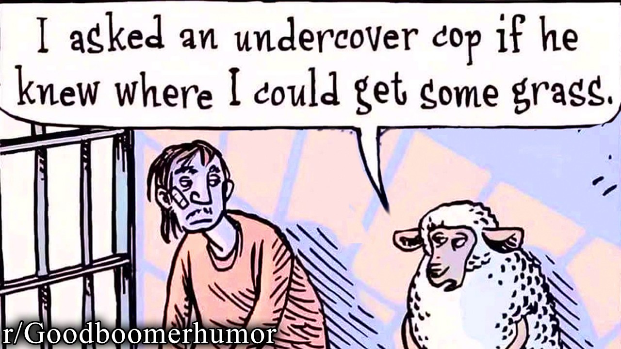 Actually Funny Boomer Humor