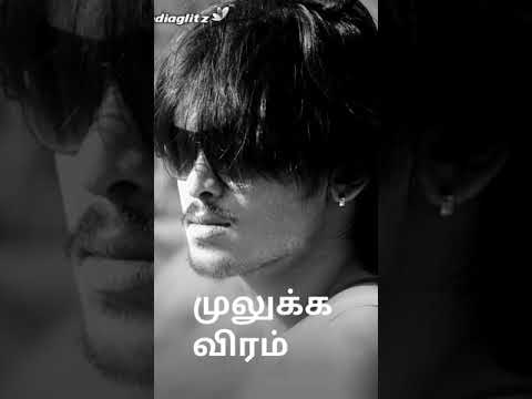 Chikku Chikku Boom Boom Tamil Lyrics 🎶