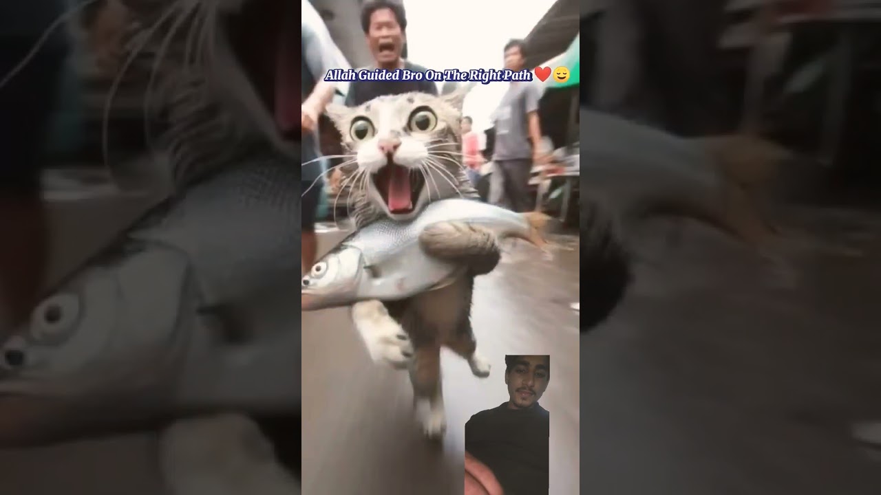 Discover Inspiring Islamic Films & Art 🎬✨