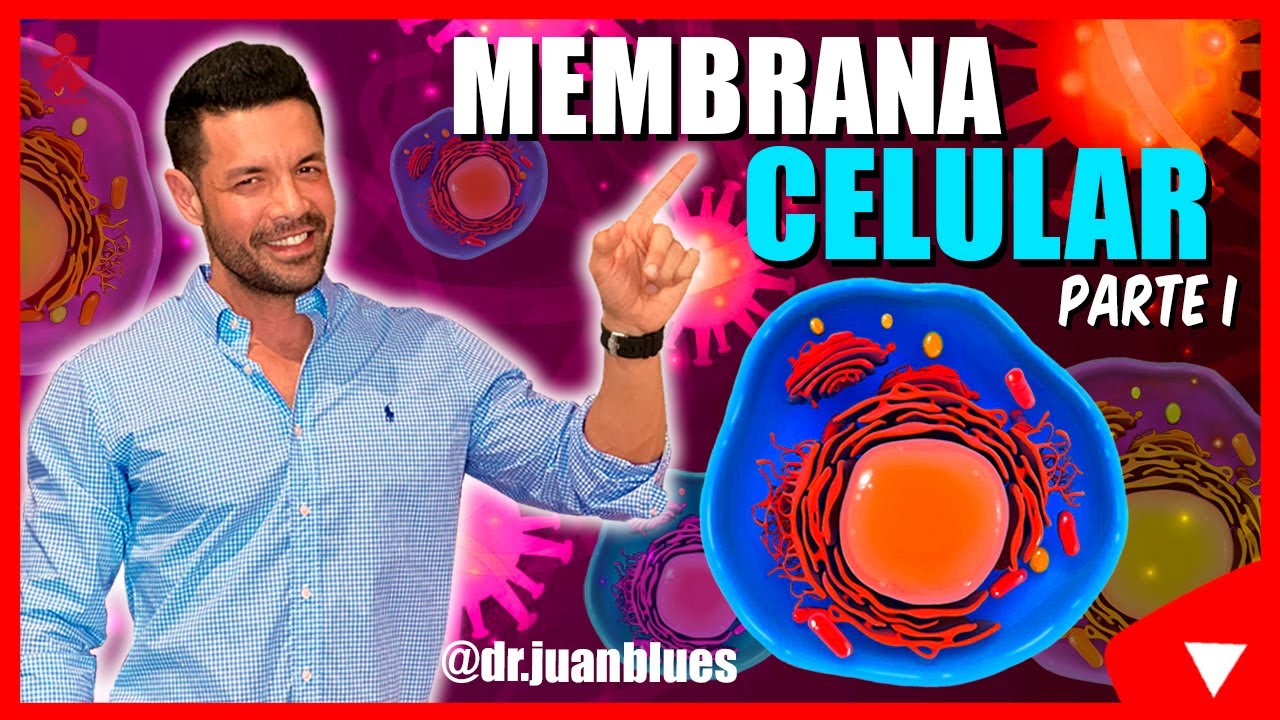 Membrana Celular: Estructura y Funciones 🧬