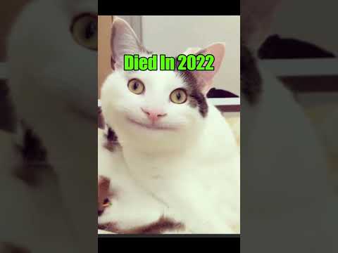 Old Memes Then Vs Now π’#shorts #nostalgia #memes