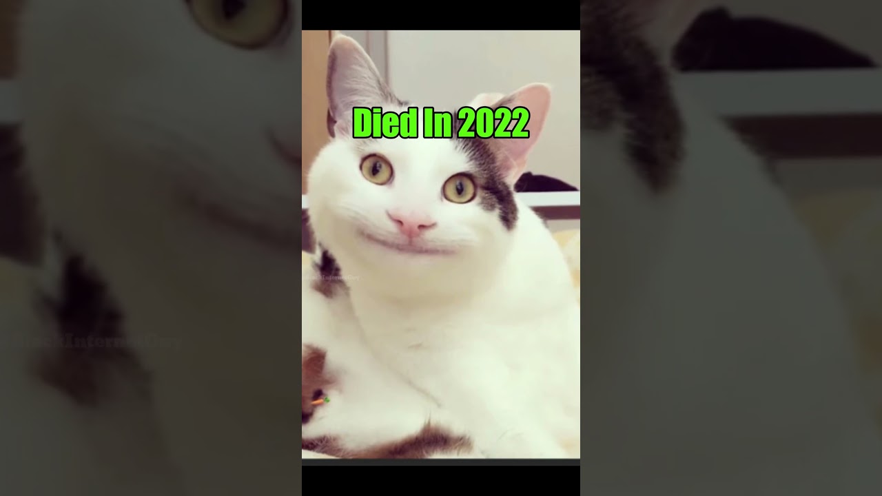 Old Memes Then vs Now 😢