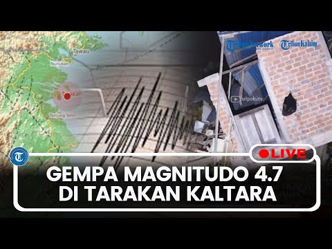 🔴LIVE: Detik-Detik Gempa Terkini Magnitudo 4.7 Terjadi di Tarakan Kaltara, Cek Info BMKG