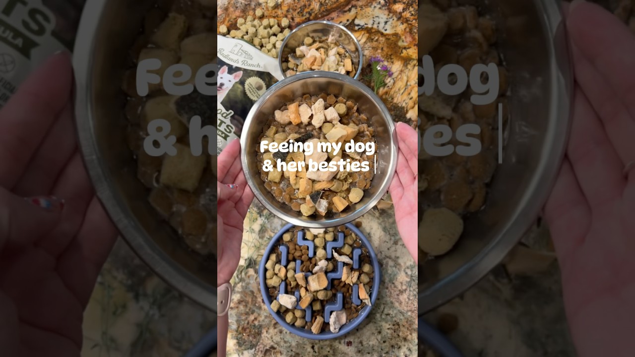 Sleepover with Besties 🐾