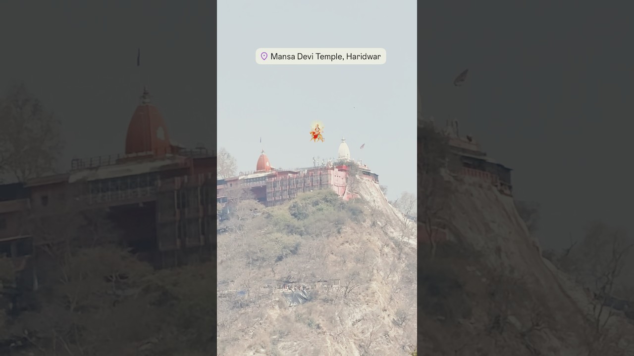 Maa Mansa devi mata #mansadevitemple #haridwar #navratri