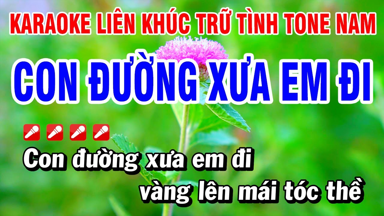Karaoke Liên Khúc Trữ Tình Nam - Con Đường Xưa Em Đi 🎶