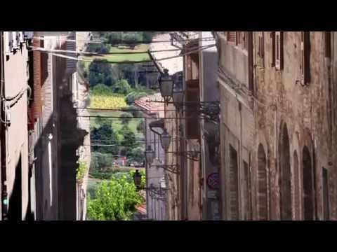 Civitanova Marche: Accogliente di natura!