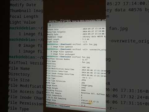Photo Privacy on Linux: How to Strip Metadata With exiftool